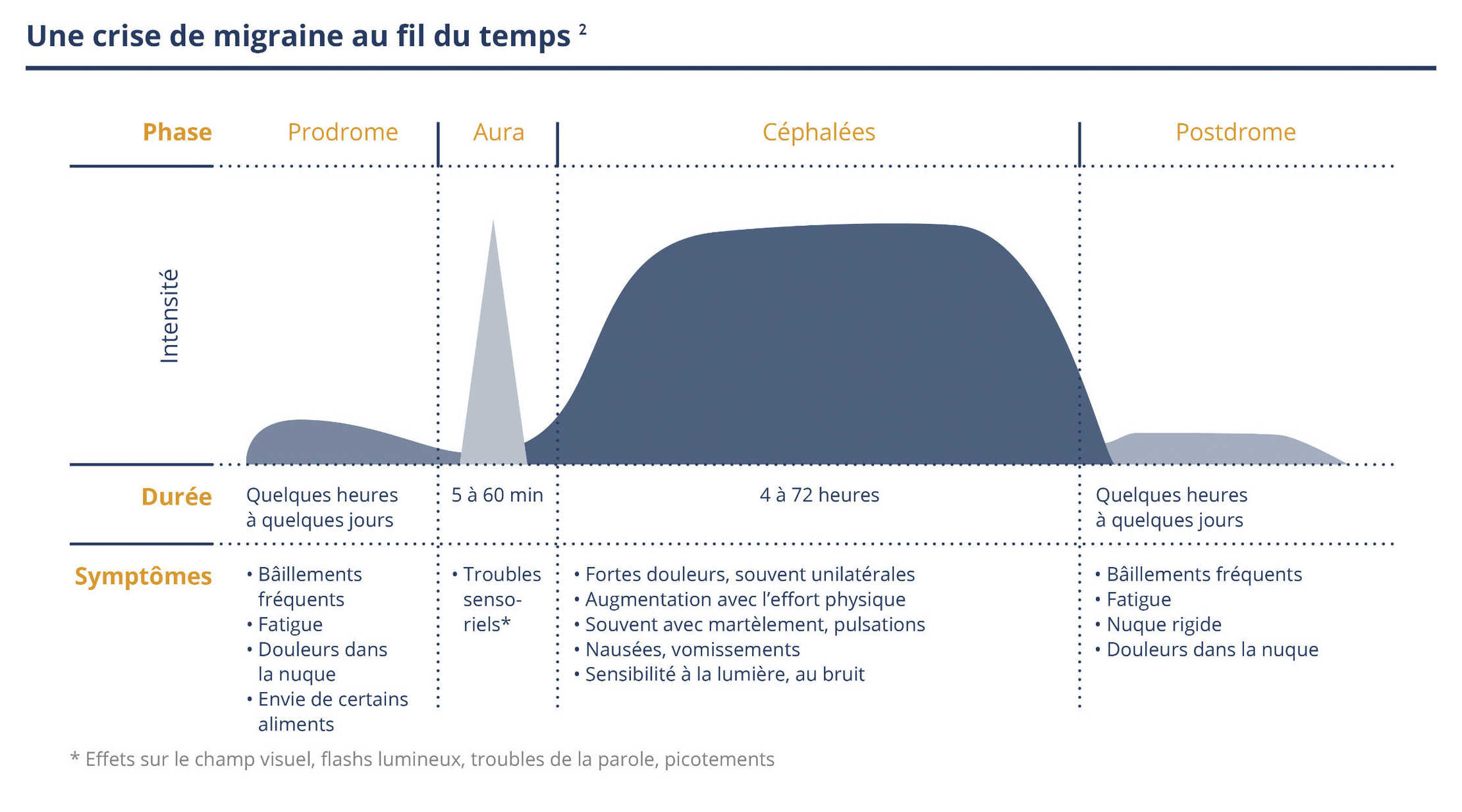 Migraine: le graphique montre une crise de migraine dans le temps. Migraine: le graphique montre une crise de migraine dans le temps.