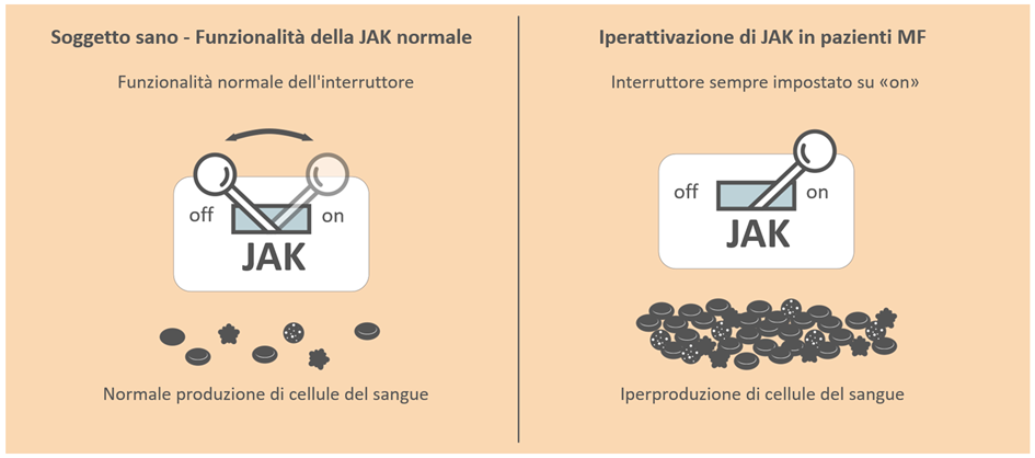Che ruolo hanno i difetti genetici?