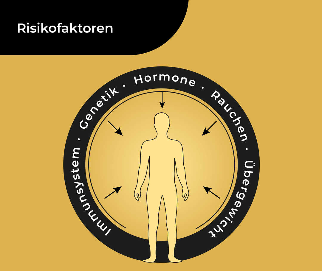 Akne inversa: Risikofaktoren Schematische Darstellung eines menschlichen Körpers, der von einem Ring umgeben ist, in dem «Hormone, Rauchen, Übergewicht, Immunsystem und Genetik» steht. Von den Beschriftungen weisen fünf Pfeile in Richtung der Figur.
