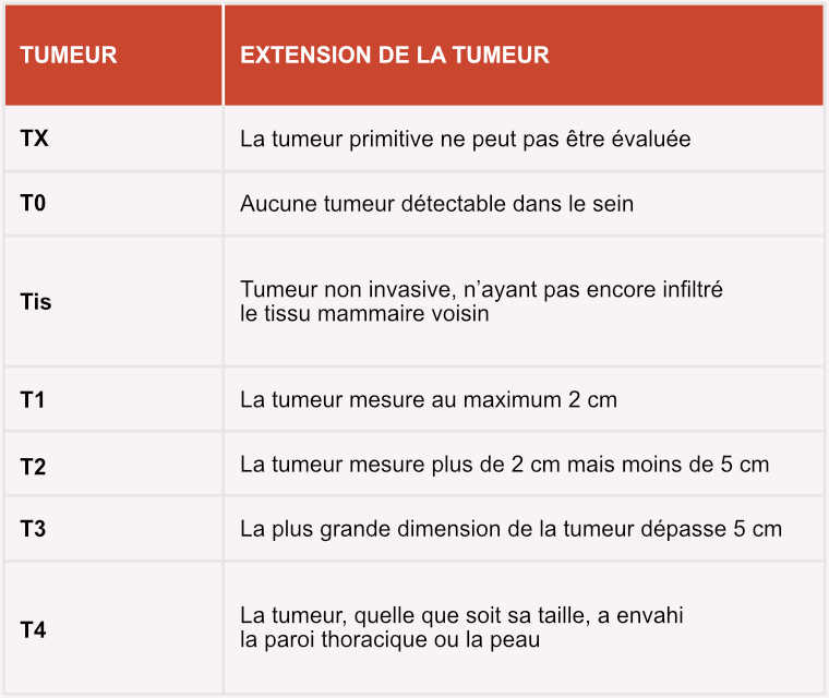  Un tableau indiquant la taille d'une tumeur et son degré d'extension.